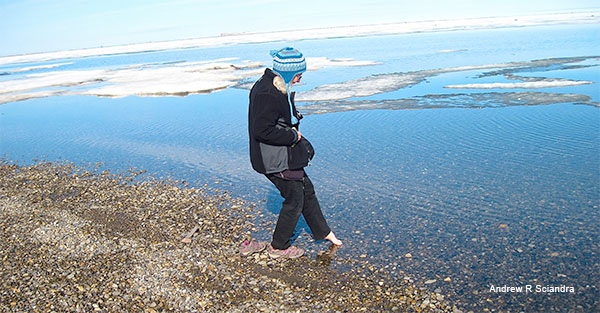 Put Your Toe in the Arctic Ocean! by Andrew R. Sciandra